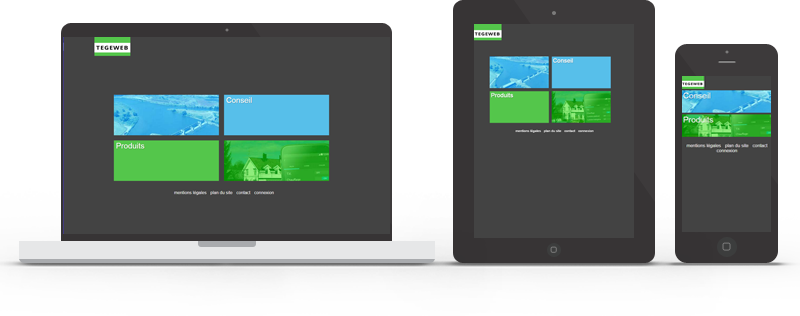 Site institutionnel : Tegeweb