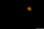 Astro Photographie - Jupiter saisie depuis Paris avec un téléscope amateur (114/900)