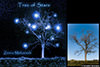 Illustration - Projet de pochette single 'Tree Of Stars' pour Zeina Mokaiesh
